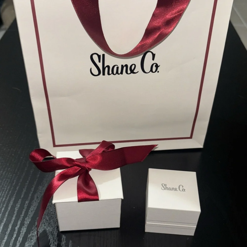 Garnet Studs Shane Co. - Picture 5 of 5